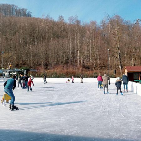 Fewo-Radau Bad Harzburg Extérieur photo
