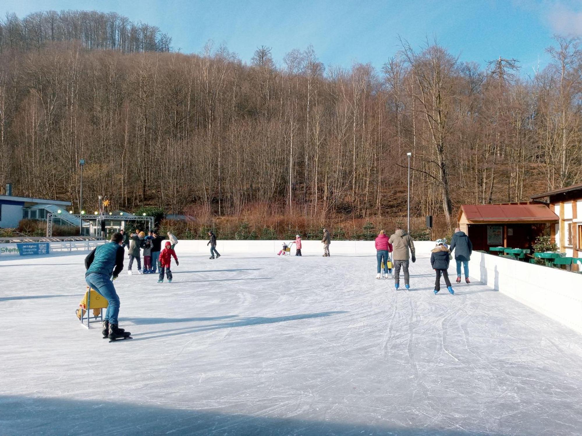 Fewo-Radau Bad Harzburg Extérieur photo