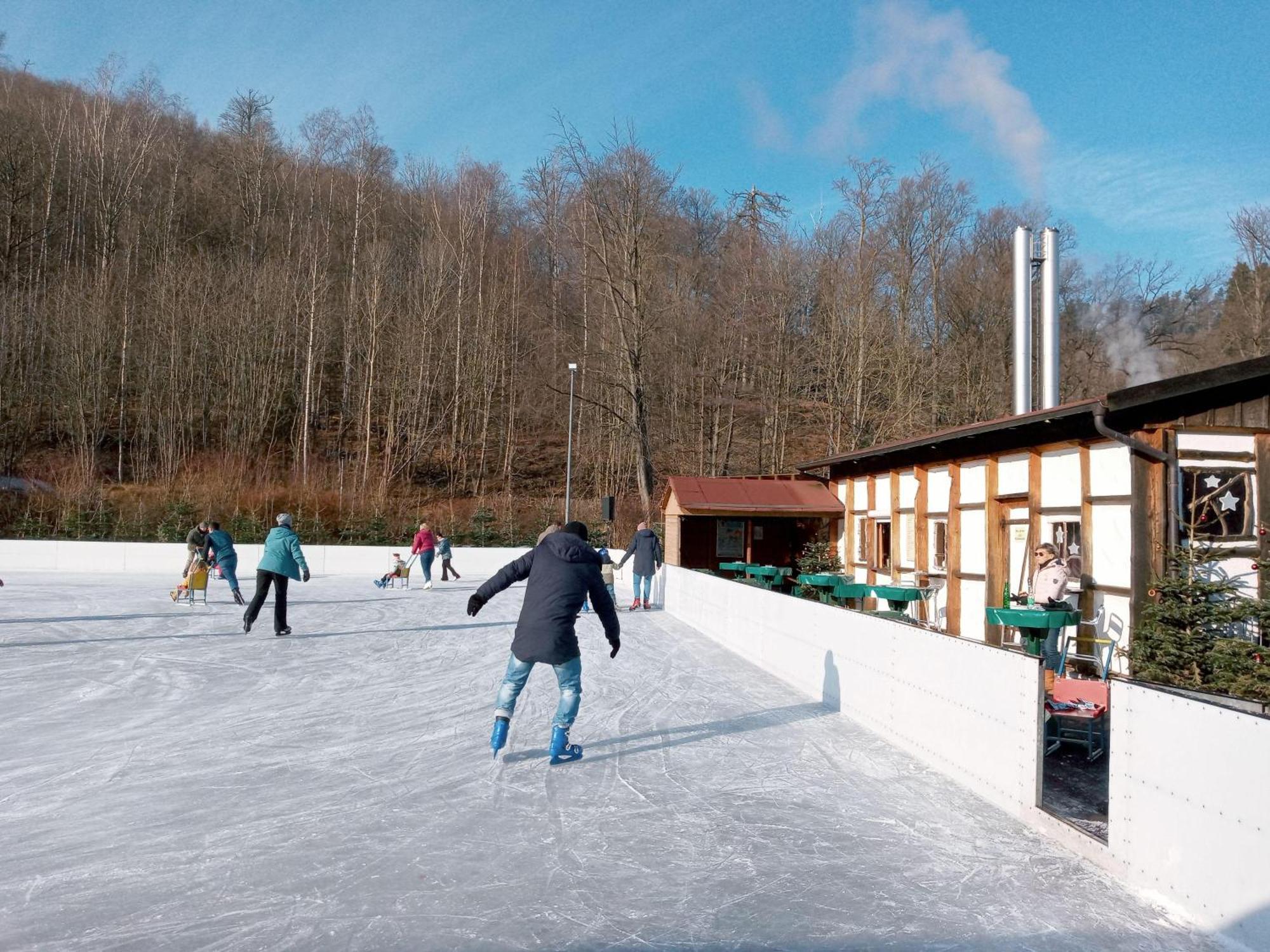 Fewo-Radau Bad Harzburg Extérieur photo